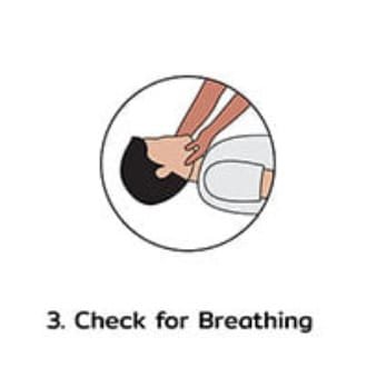 cpr step 3 check for breathing